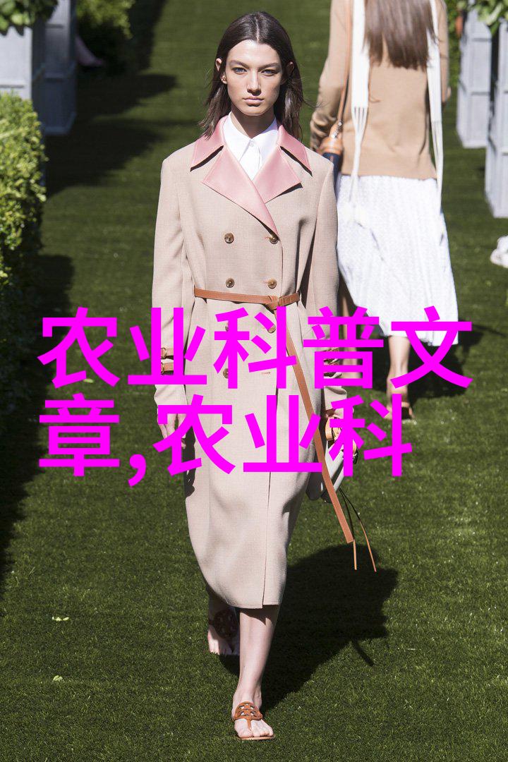 土蜜蜂养殖与管理精要提升效益的技术实践