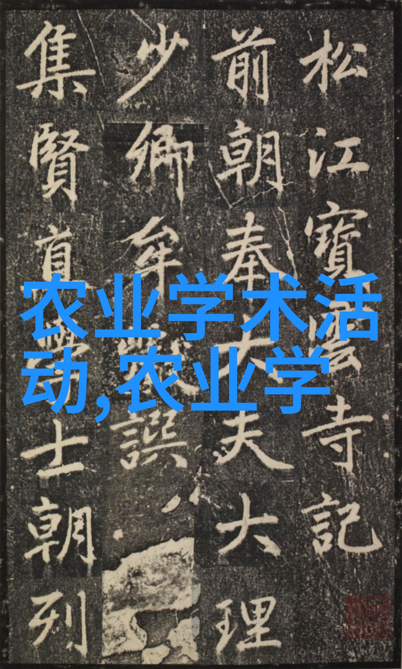 住宅养蜂的风水忌讳蜜源之谜与居宅和谐