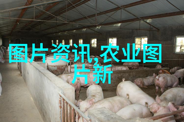 现代养殖技术培训提升农牧业效益的专业指导