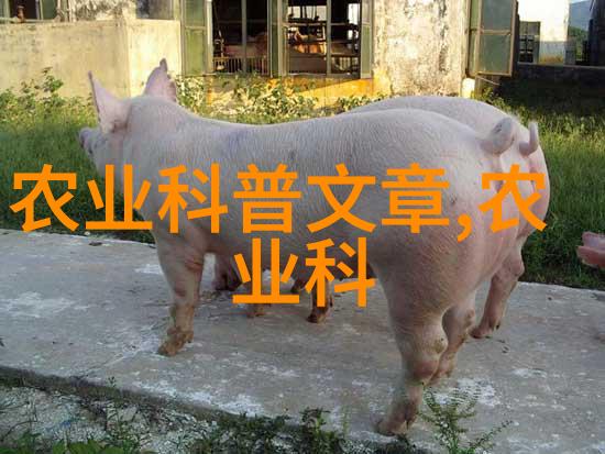 农业带在实现可持续发展方面面临哪些挑战