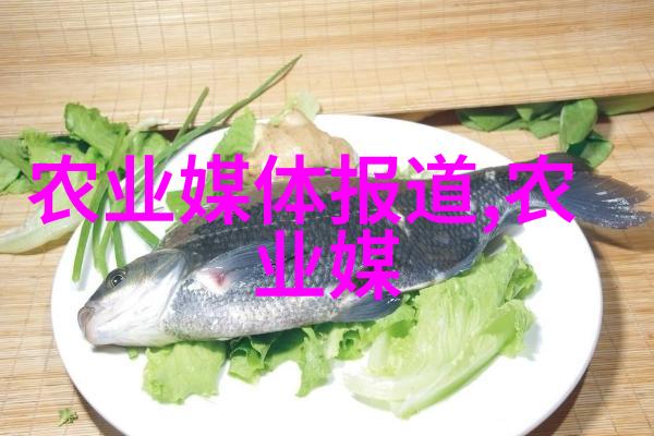 云南昆明鲜花批发市场的绚烂画卷色彩与生命的交响乐