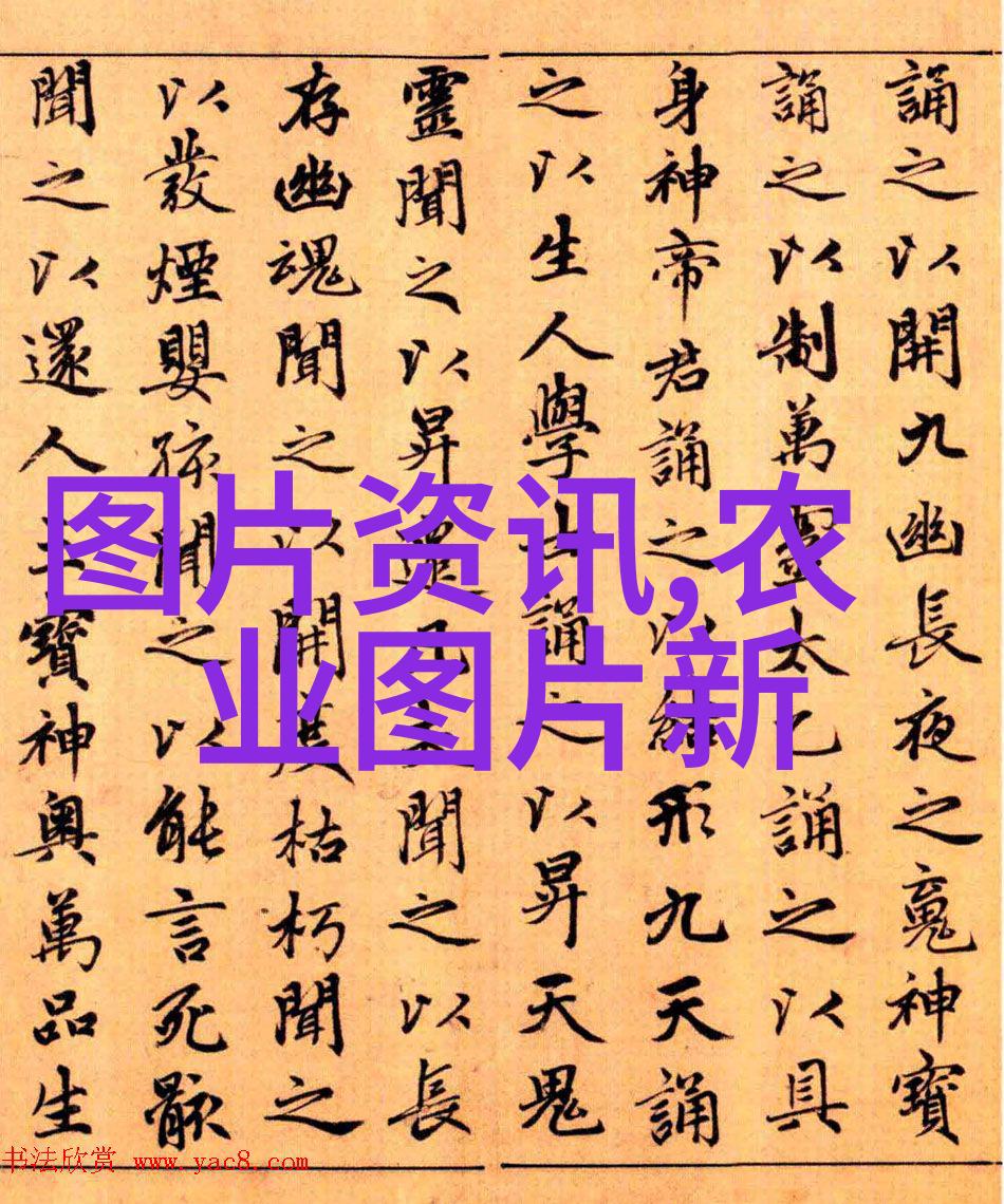 福建培育新产业新业态 推动乡村产业发展