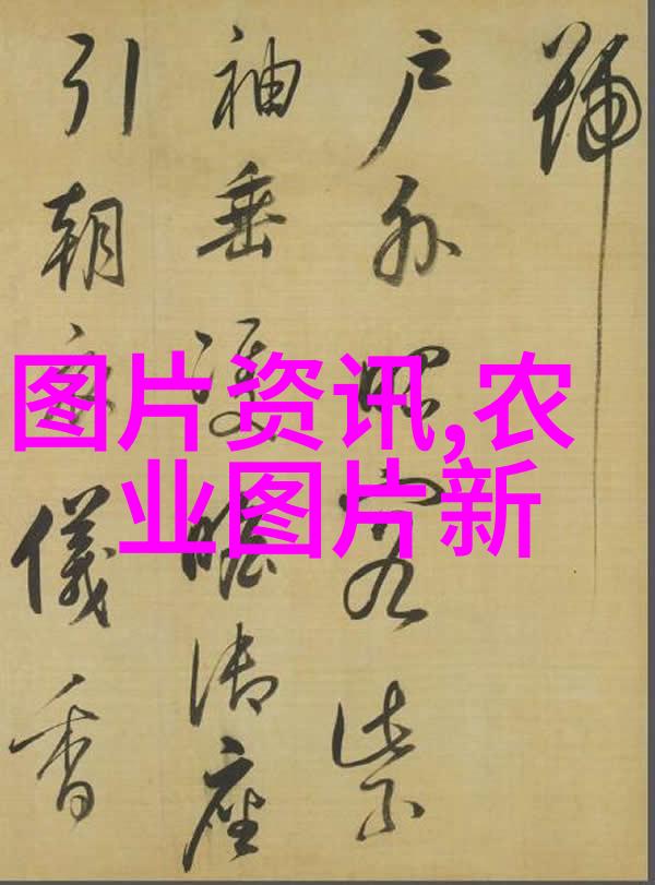 蜂起新手从无知到蜜蜂大师的荒唐历程