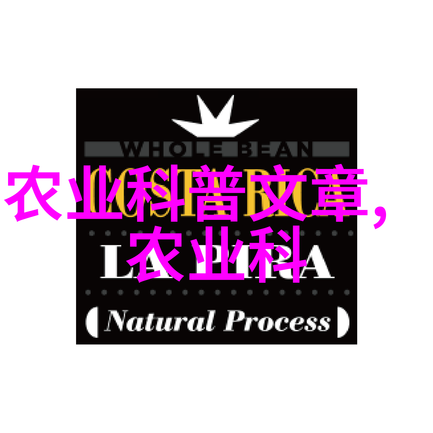 种植一亩大棚香椿要多少成本-香椿梦想详解一亩大棚种植全过程与成本预算