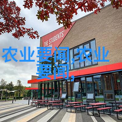 国内最好用的秸秆还田机型号与功能分析
