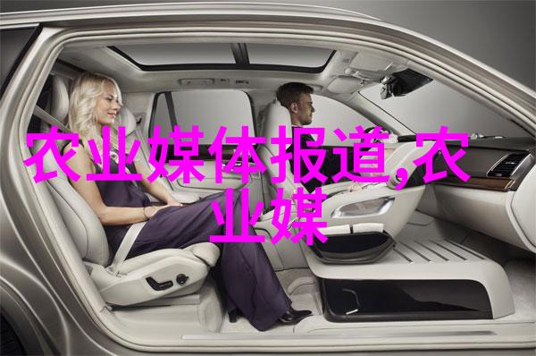 学种大棚蔬菜技术我来教你如何在家门口种出超美味的蔬菜