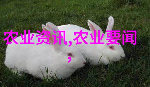 农村种植最赚钱的花卉选择与经营策略