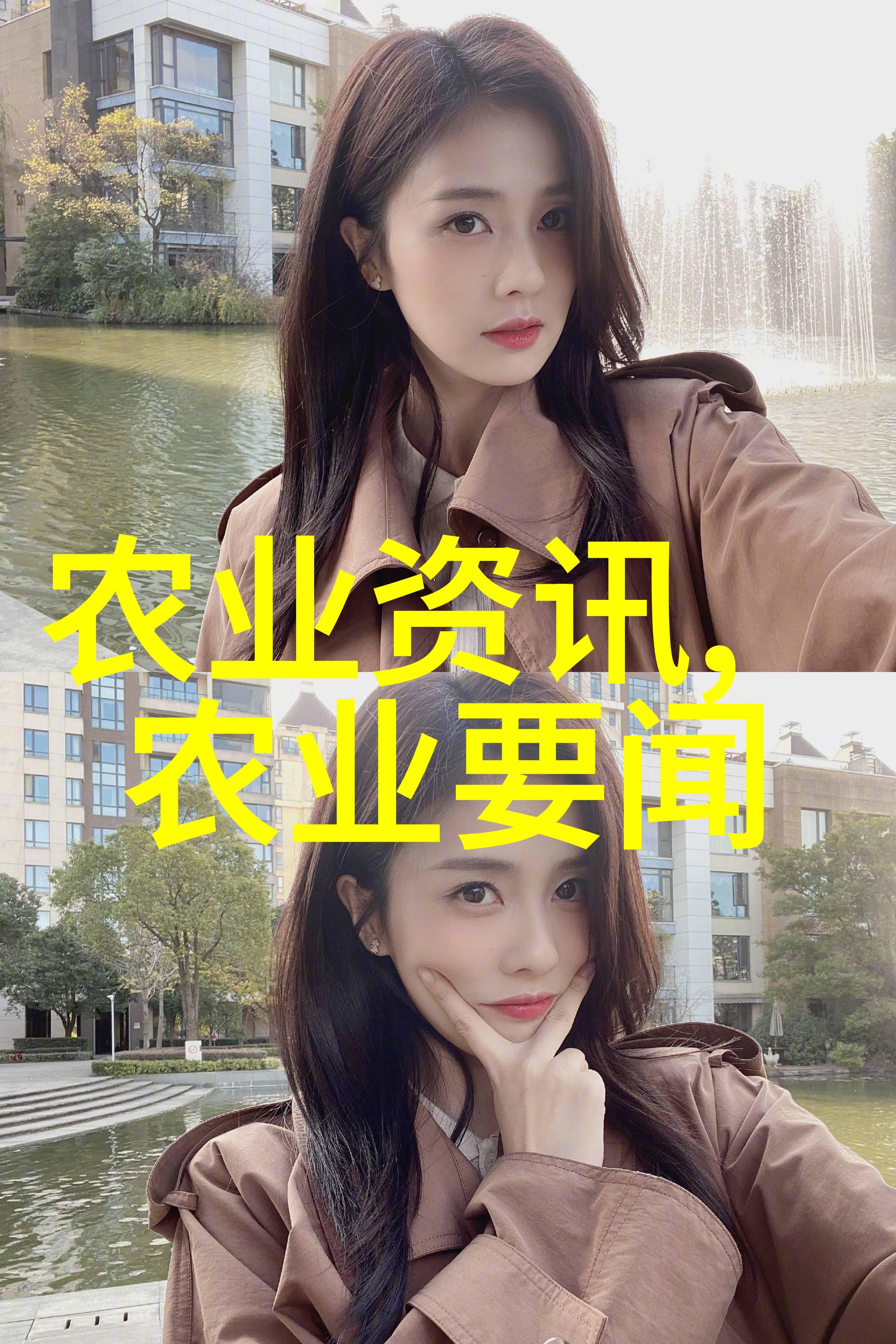 致富指南 探究那些能够为你的银行账户注入金流的大型宠物