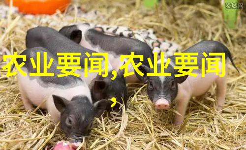 中国农业大学排名提升学术声望与实践能力并重的典范