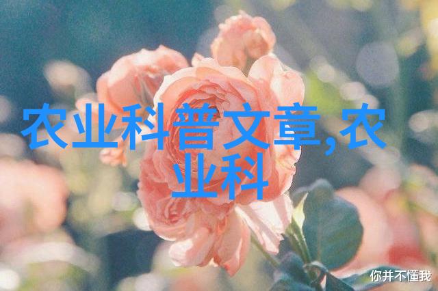 野花日本大全探索未知的美丽