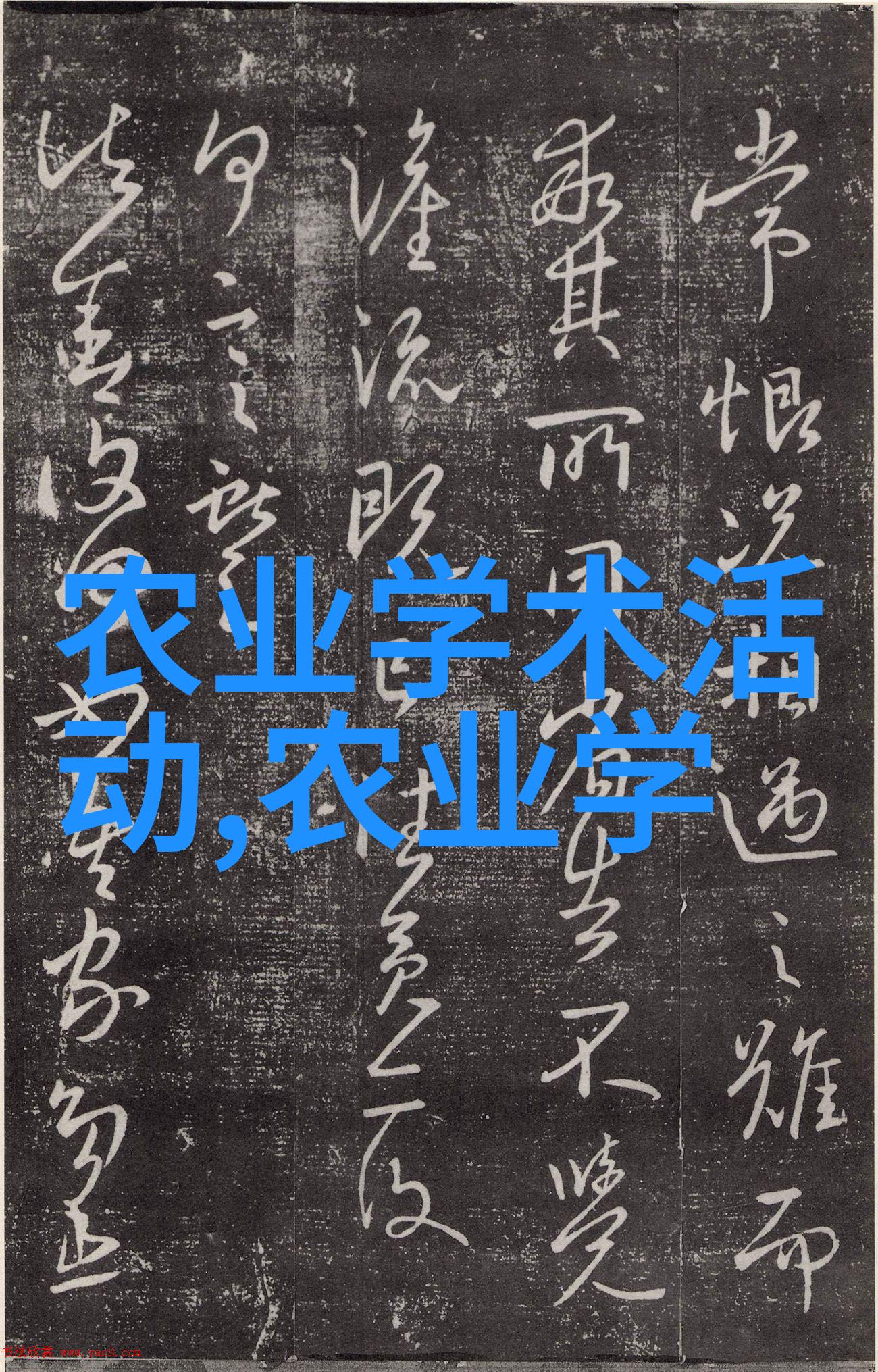 西北苗木行情暴跌 - 逆寒风中西北苗木行情暴跌背后的经济与环境考量
