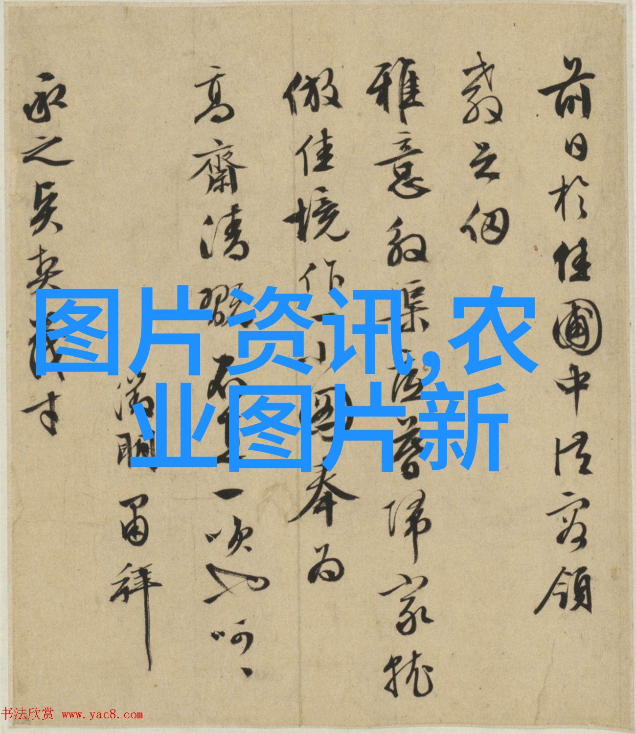 一场色彩盛宴木本花卉如何为城市带来生机