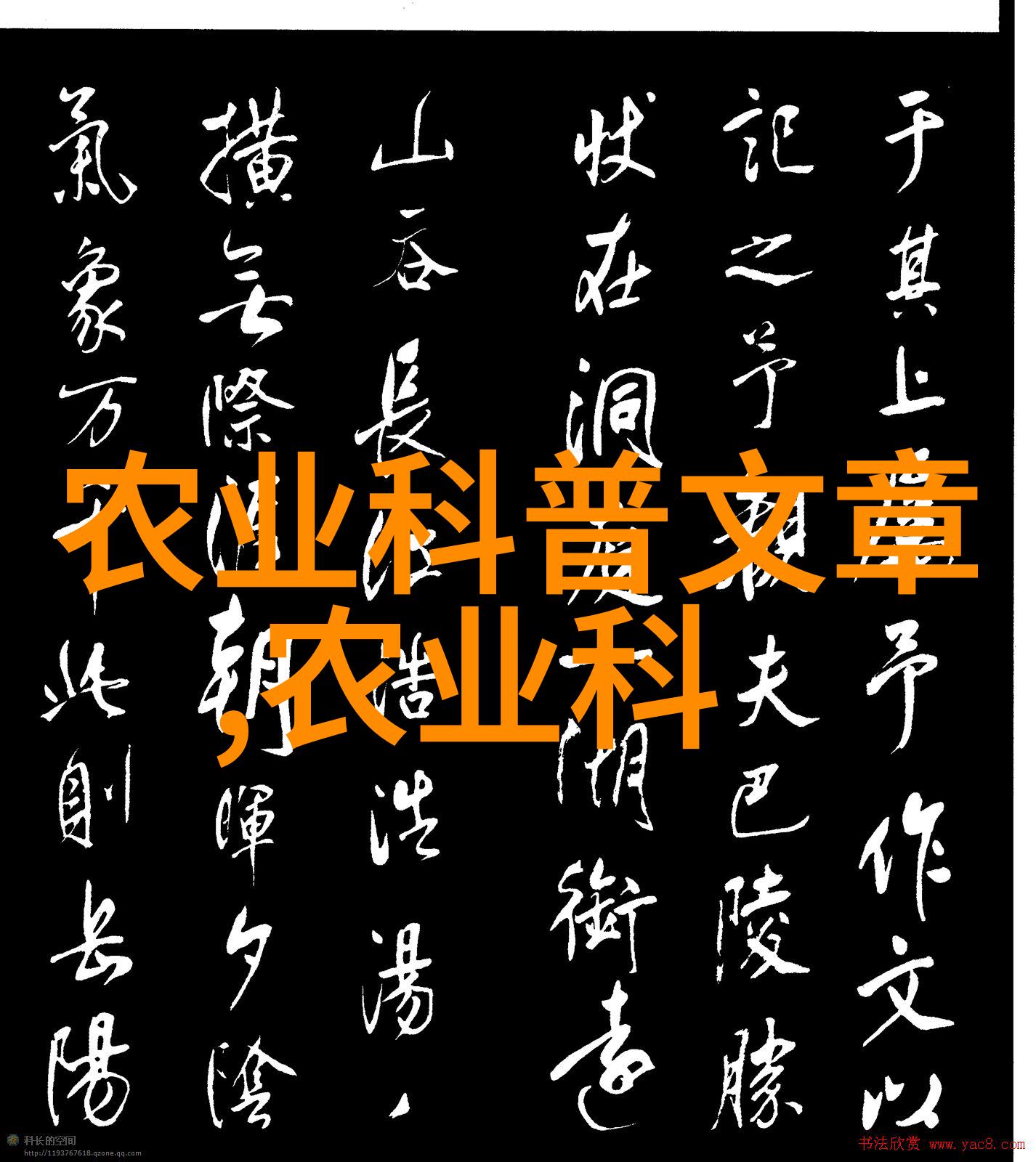 饲料资讯我是猪你想知道的养殖秘密