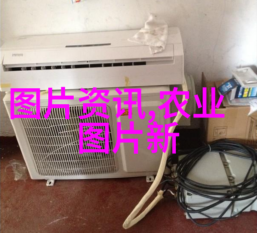 鄢陵苗木价格一览表专业农场种植的优质苗木价格大公开