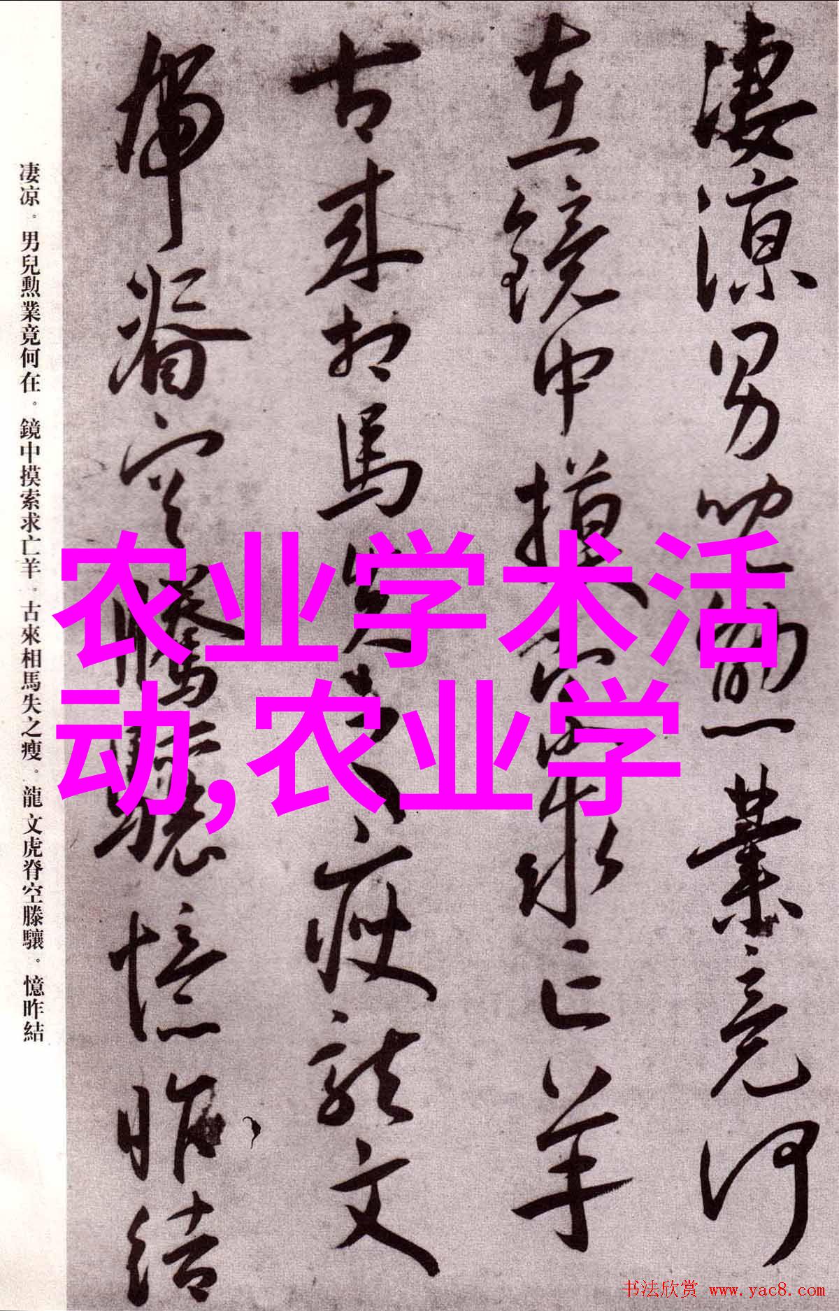 中国人免费视频电影探索国民娱乐新风尚