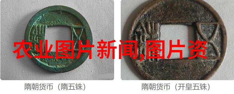 侵权责任规则更新民法典目录中的新趋势