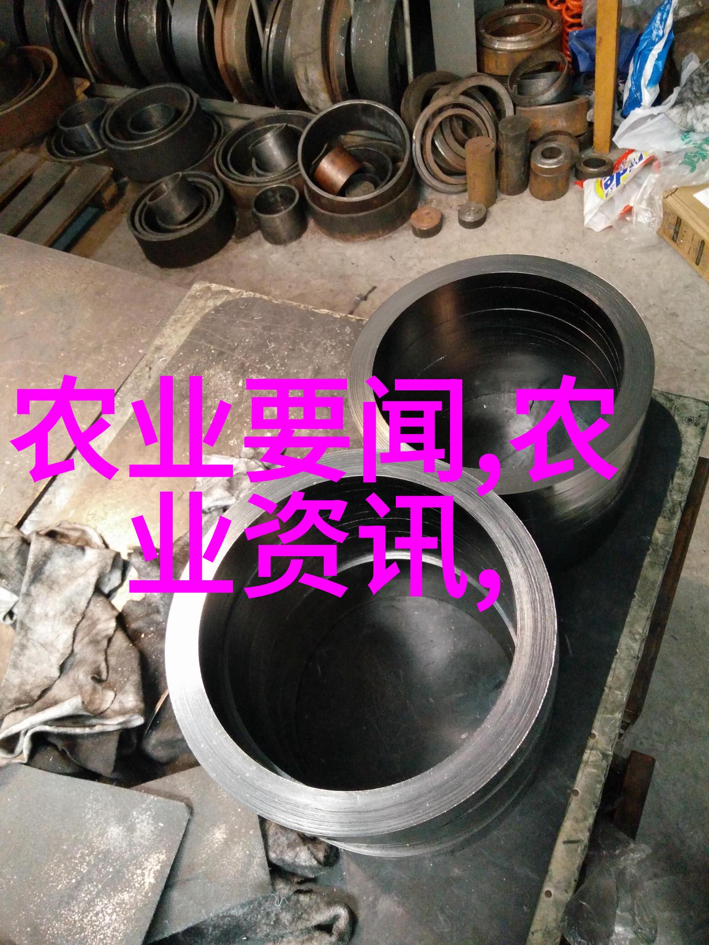 法桐园林设计中的应用前景及相关价格信息汇总
