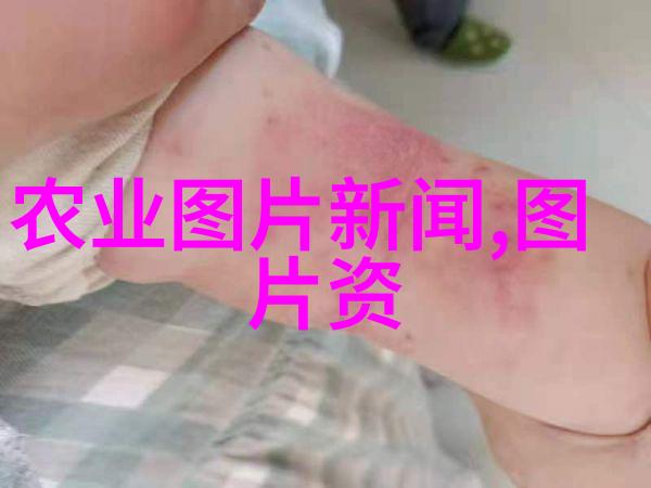 生态友好型水塘建设案例分析草鱼生态系统设计