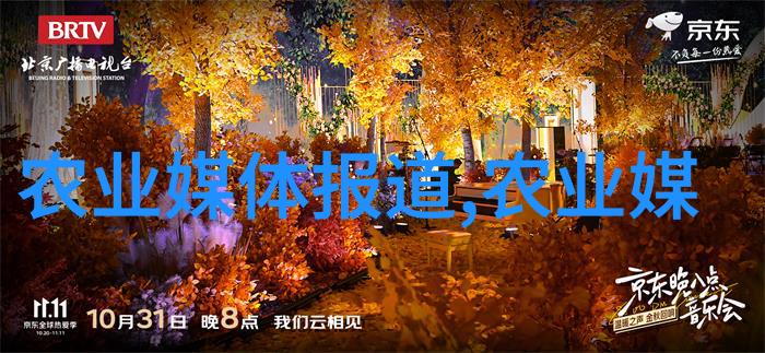 玉米种植技术现代农业的绿色选择
