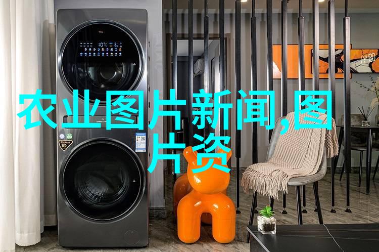 板蓝根的种植秘诀揭秘这位草本药材的生长密码