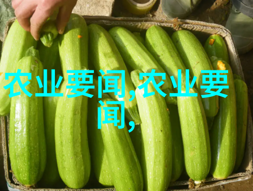 手动操作技巧提高人工手动插秧效率指南