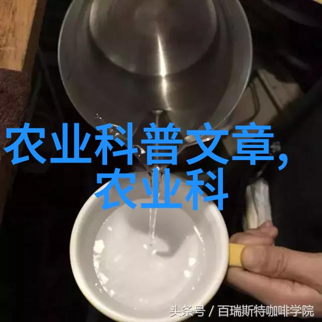 园艺奇妙水果籽的美丽之花