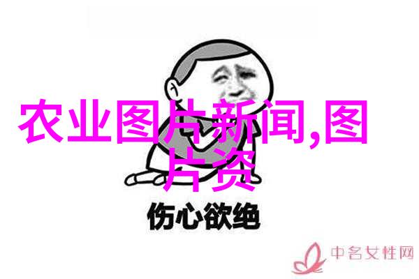 水果种子的秘密花园一幅抽象的图景