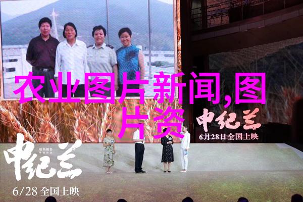 新鲜捕获蜜蜂群体管理手册每一步都需谨慎处理