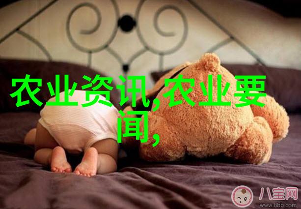 15一18的红果冬青树的价格-赏心悦目的园艺佳选15元至18元的红果冬青树价格探究