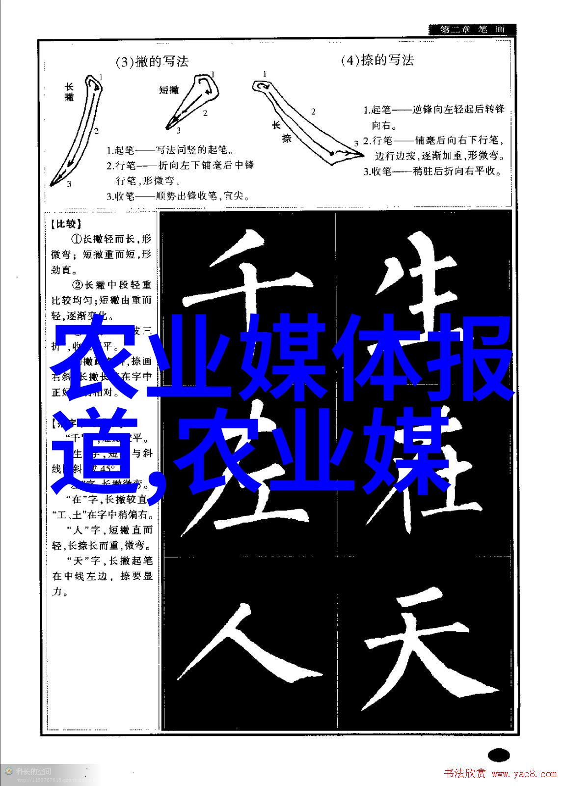 耕耘知识揭秘种植艺术的经典之作