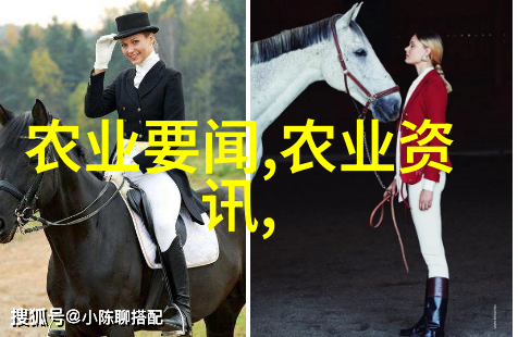 建个花卉大棚挣钱吗-花海致富如何通过建立花卉大棚实现财富增长