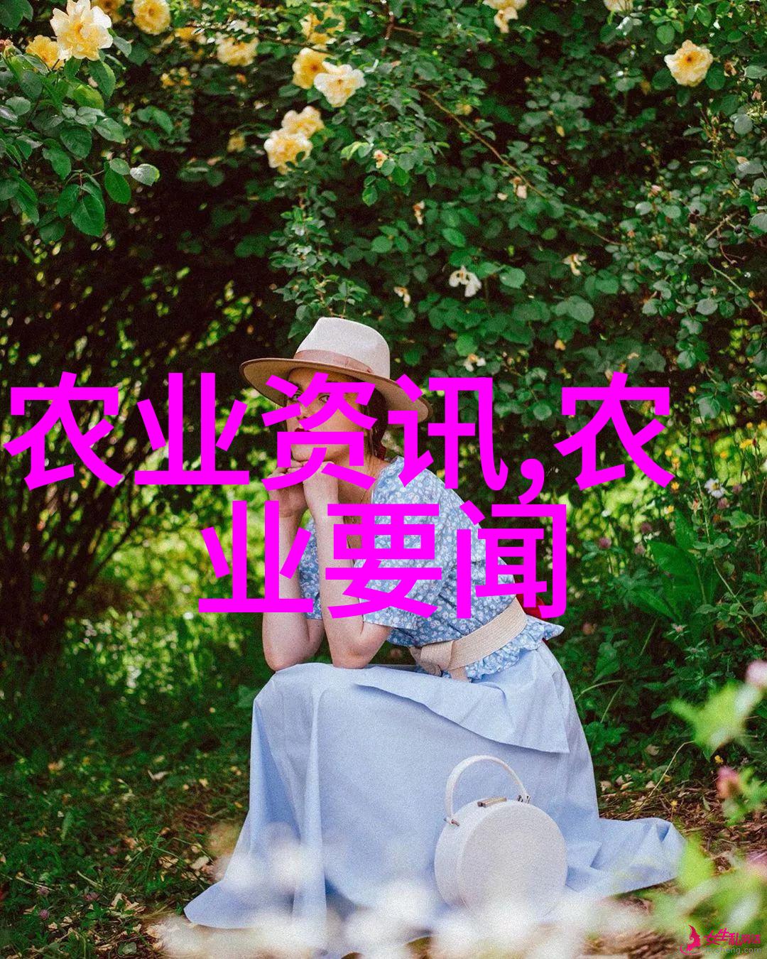 国家二十条新政策从繁复到简约的奇妙之旅