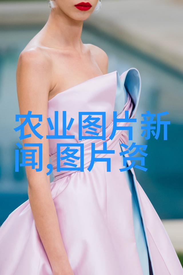 水果和种子图片大全-丰盛的园丁探索水果与种子的美丽世界