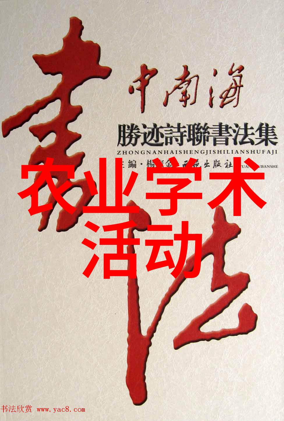 安徽高校新媒体矩阵