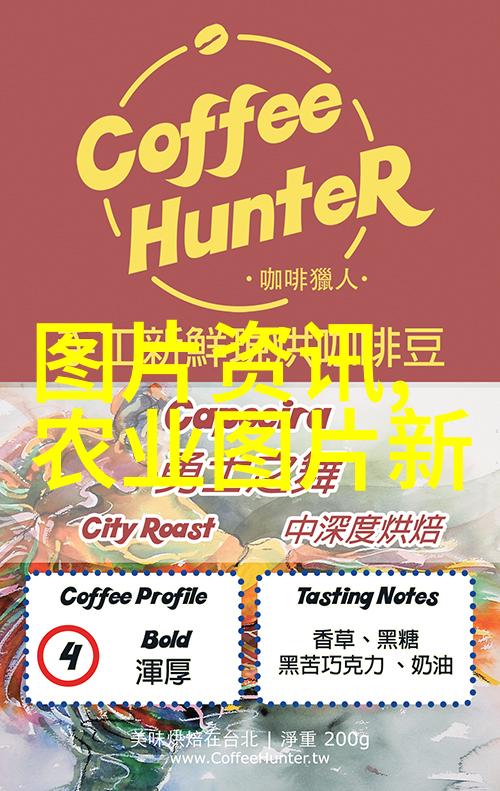 寻找水果种子的图画之旅