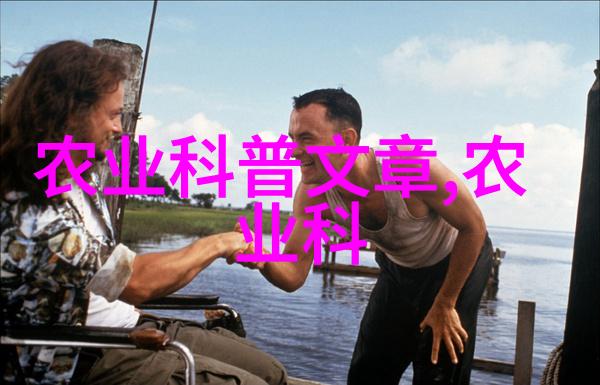 养牛补贴政策解析政府对农户养殖业的支持措施