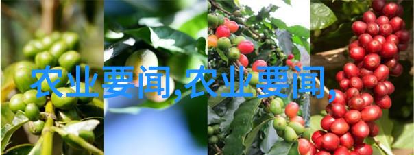 养殖信息我来告诉你如何让你的小动物生活得更健康更开心