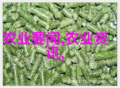 喂蜂器大全我来教你如何成为一名超级有技能的蜂友