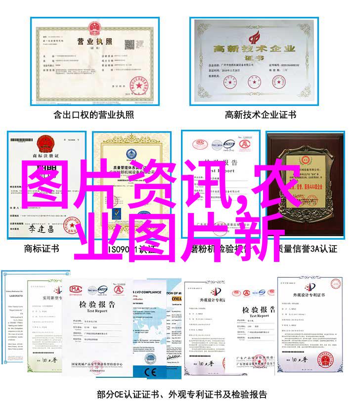 畜牧之道探秘高效养殖技巧