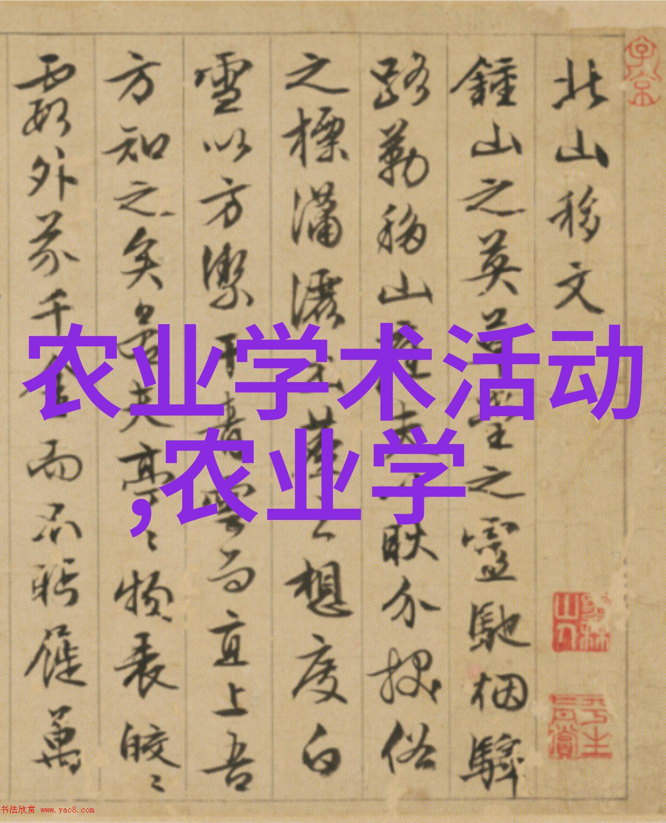 甘蓝菜可以用于制作什么样的健康餐点