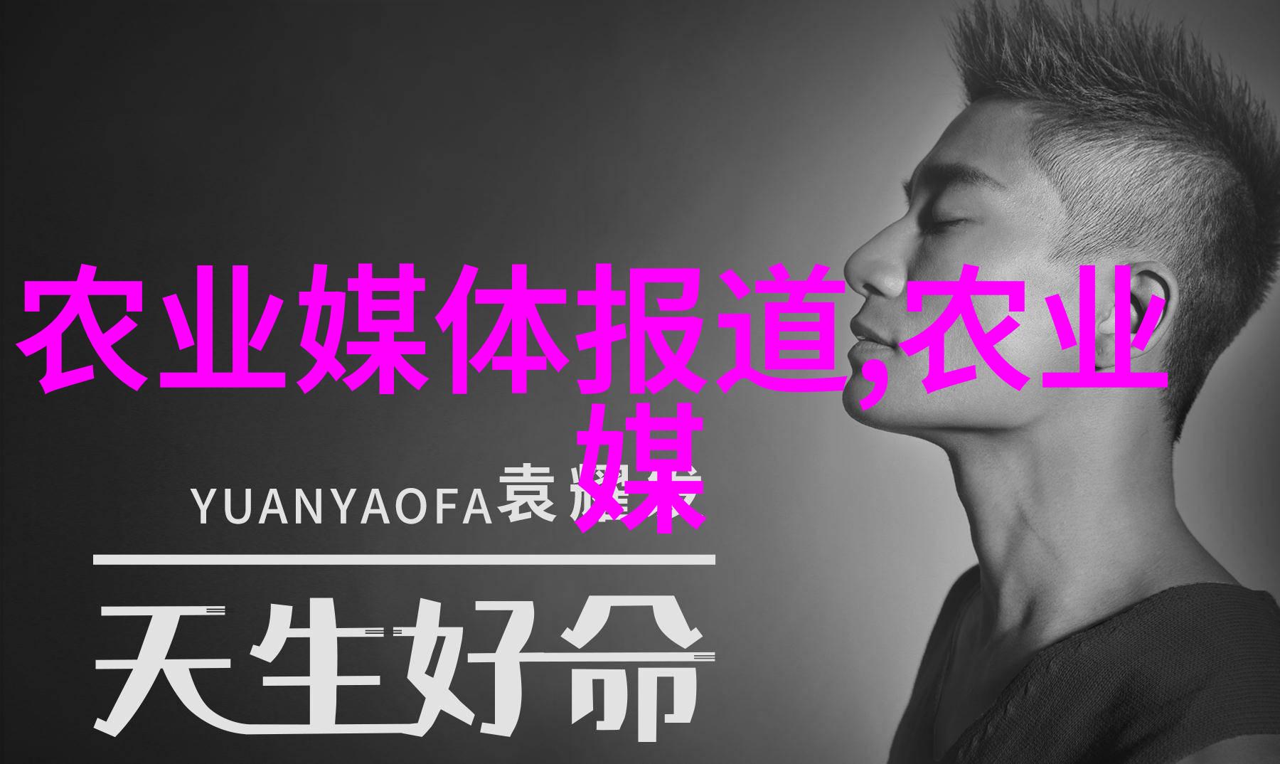 蜂蜜与苦果2022养蜂人呐喊的甜蜜困境