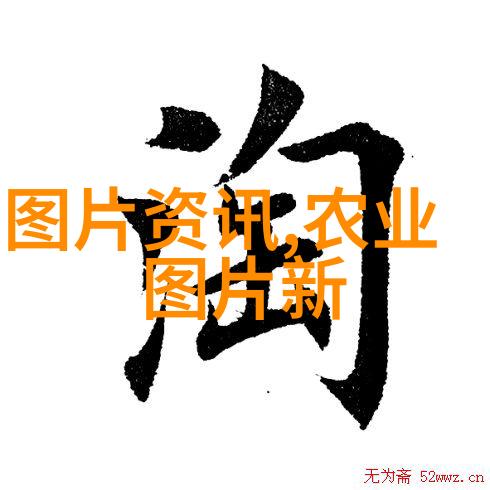 蜜蜂的夏日秘密揭开养蜂技巧的神秘面纱
