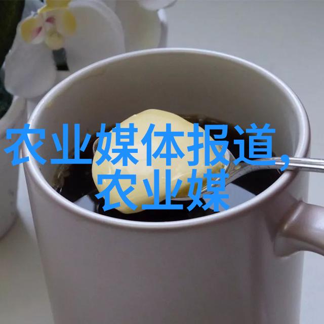 现代农业的新篇章10亩连栋大棚投资分析与未来展望