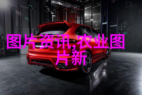 蜜蜂刚抓回来要关几天我是不是得好好想想怎么照顾它们