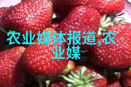 冬季养蜂技巧冬季养蜂的管理与操作