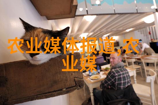 茶的历史之旅从古老的中国到世界的每个角落