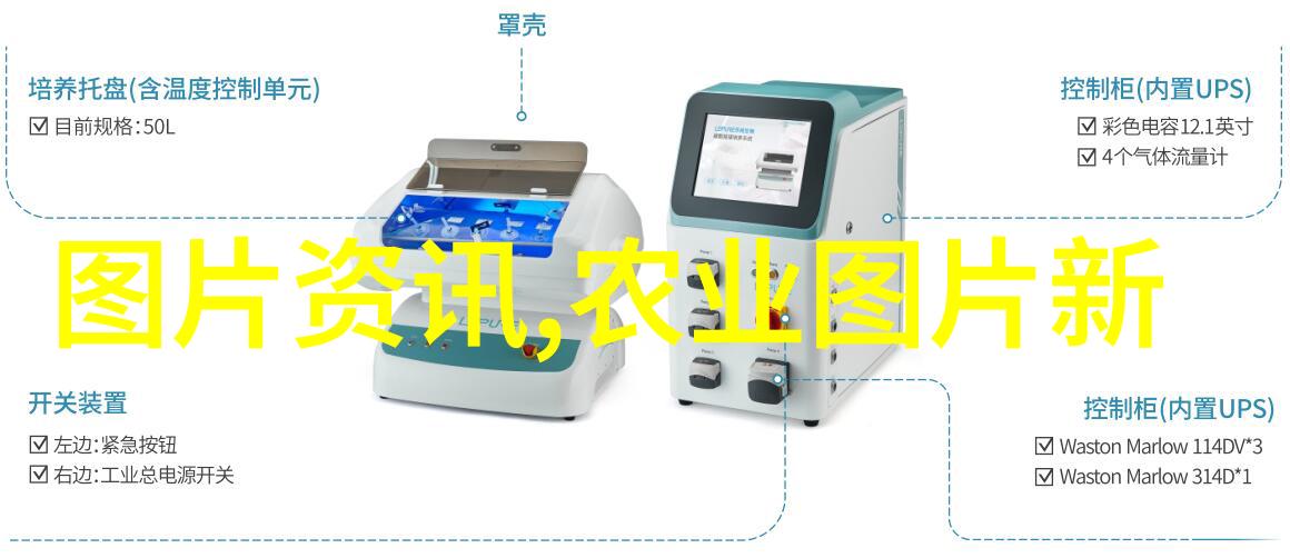 坐在叔叔的硬硬沙发上写作业家人相处时光