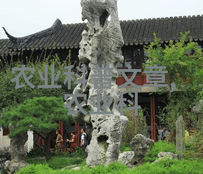 秋日蜜蜂的忙碌揭秘养蜂技巧与精髓