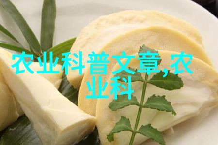 绿植花卉图片大全室内美化的完美选择