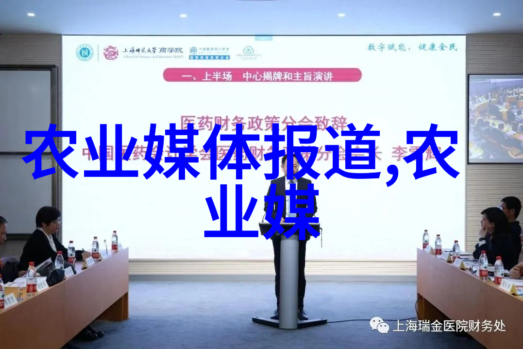 创新解决方案秸秆打包机在乡村振兴中的作用